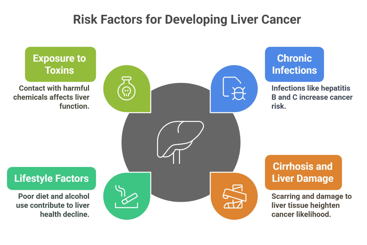 Liver cancer awareness and consultation with specialists
