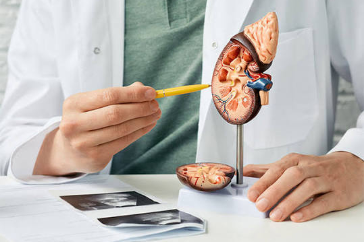 Kidney cancer specialist consultation